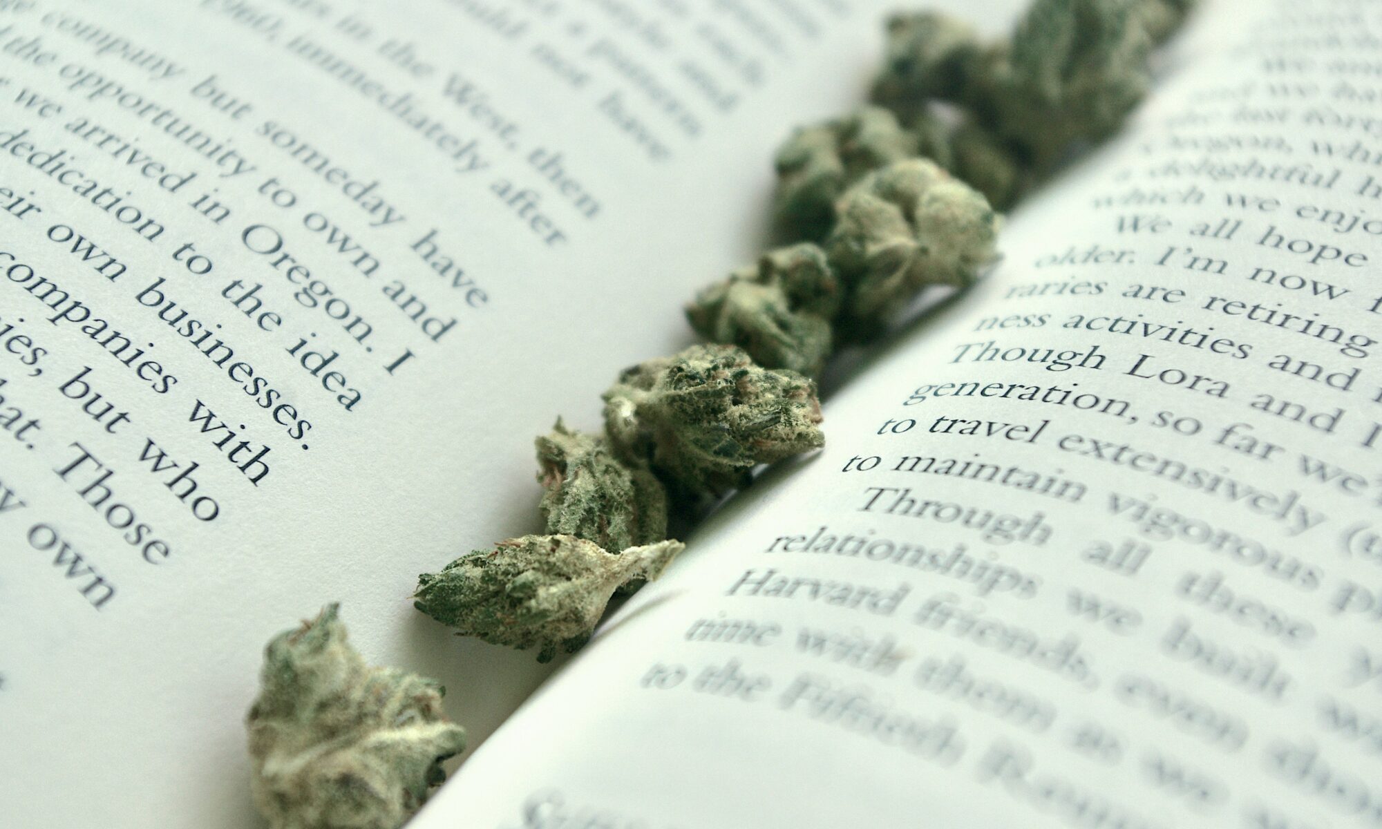 dried marijuana florida possession